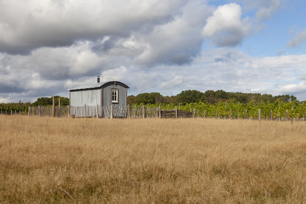 The shepherd’s hut includes a double bed, a small kitchen to make simple meals, plus a bathroom with a shower, sink and toilet.