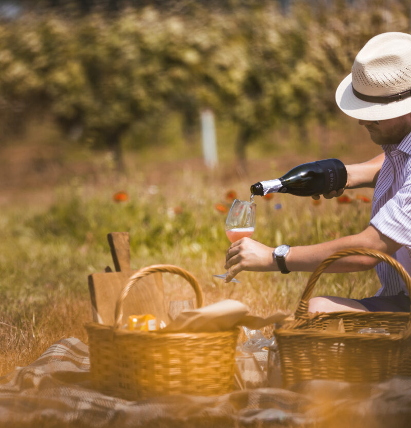 picnic tour and tasting