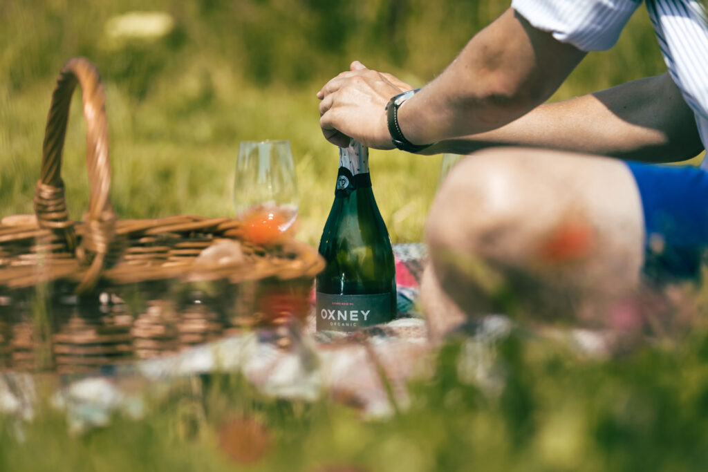 picnic